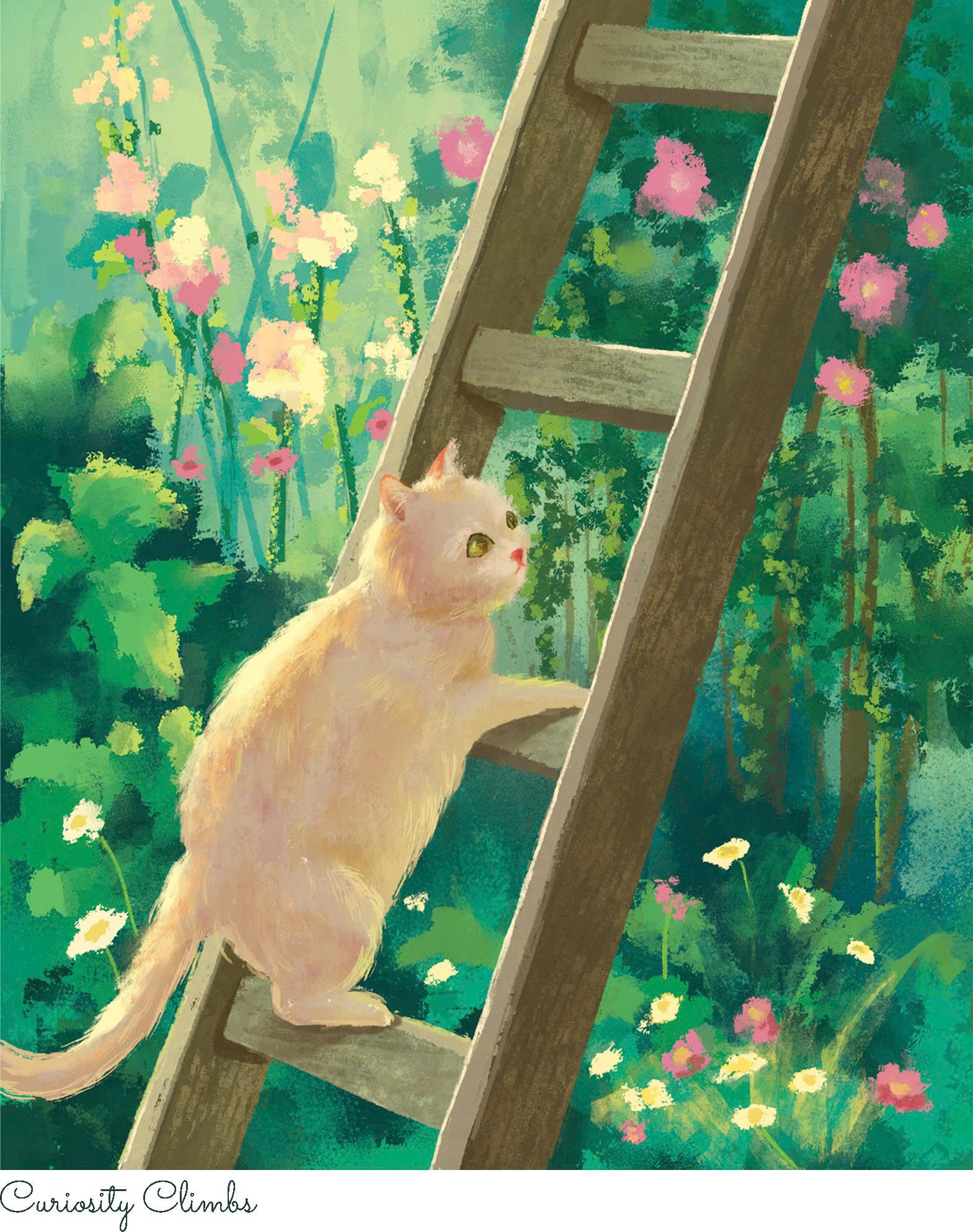 Postcard on Dó paper - Leo từng bậc gỗ