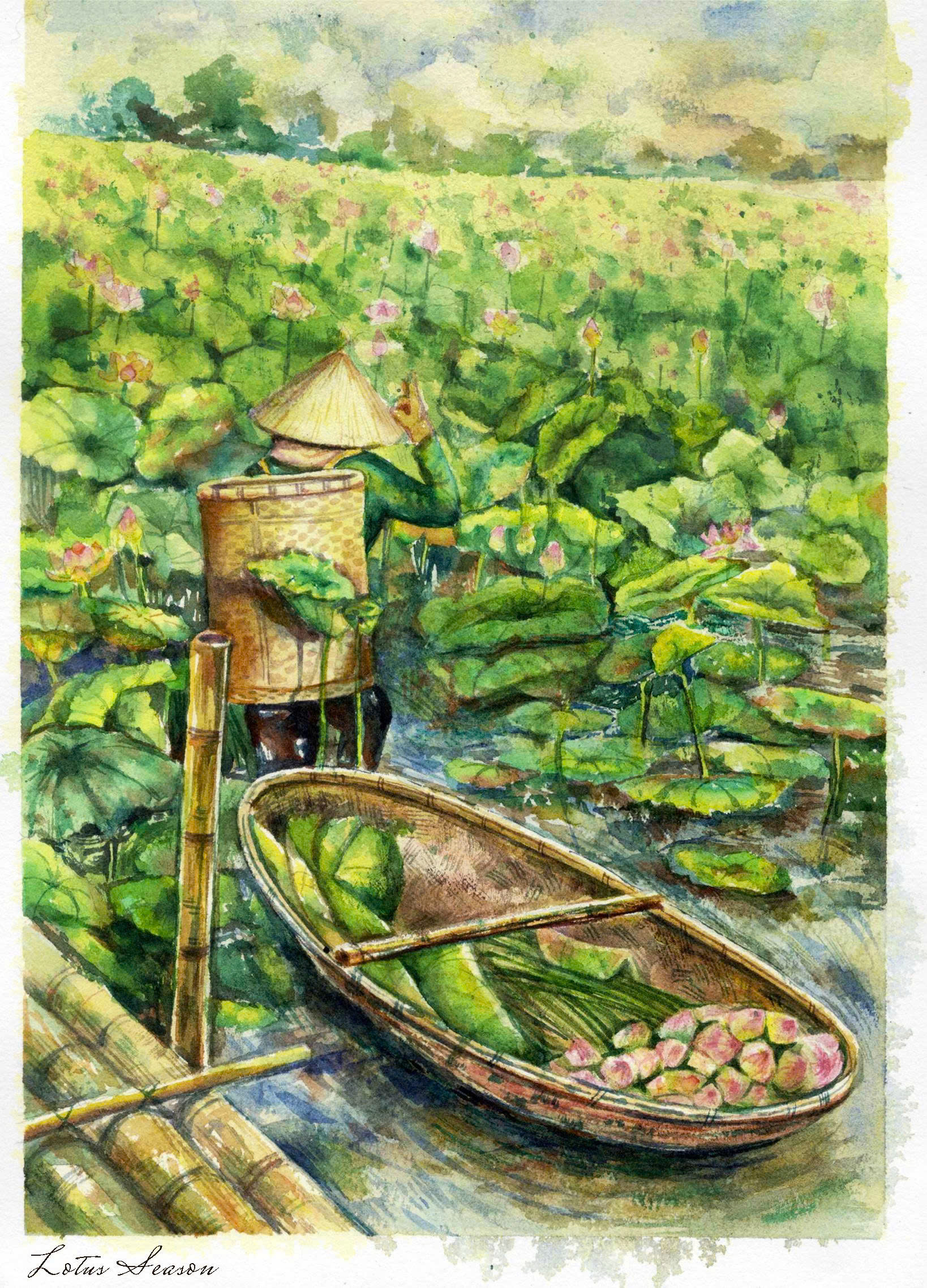 Postcard on Dó paper - Mùa sen