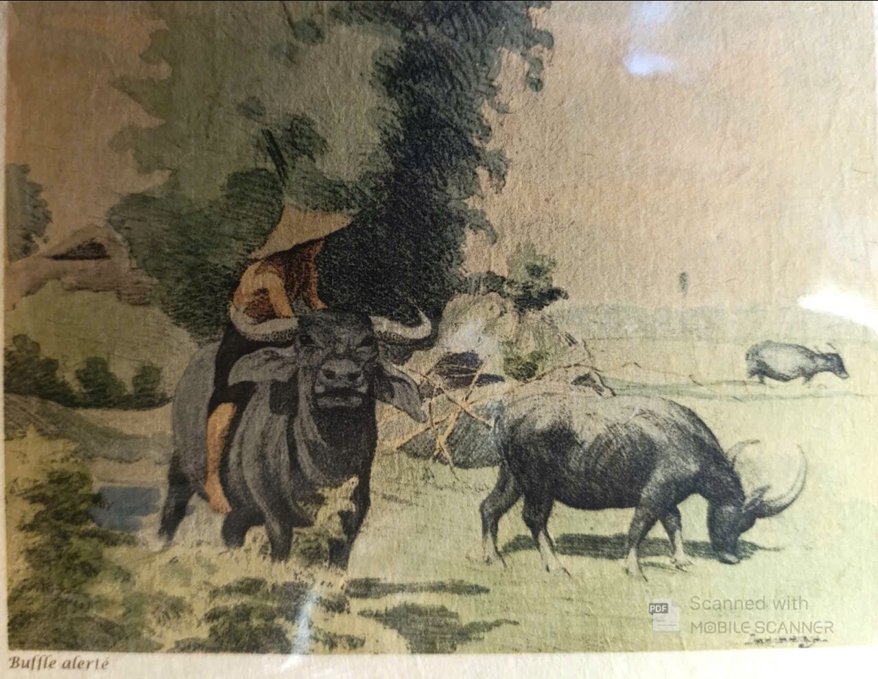 Poster on Dó lụa paper - Cưỡi trâu