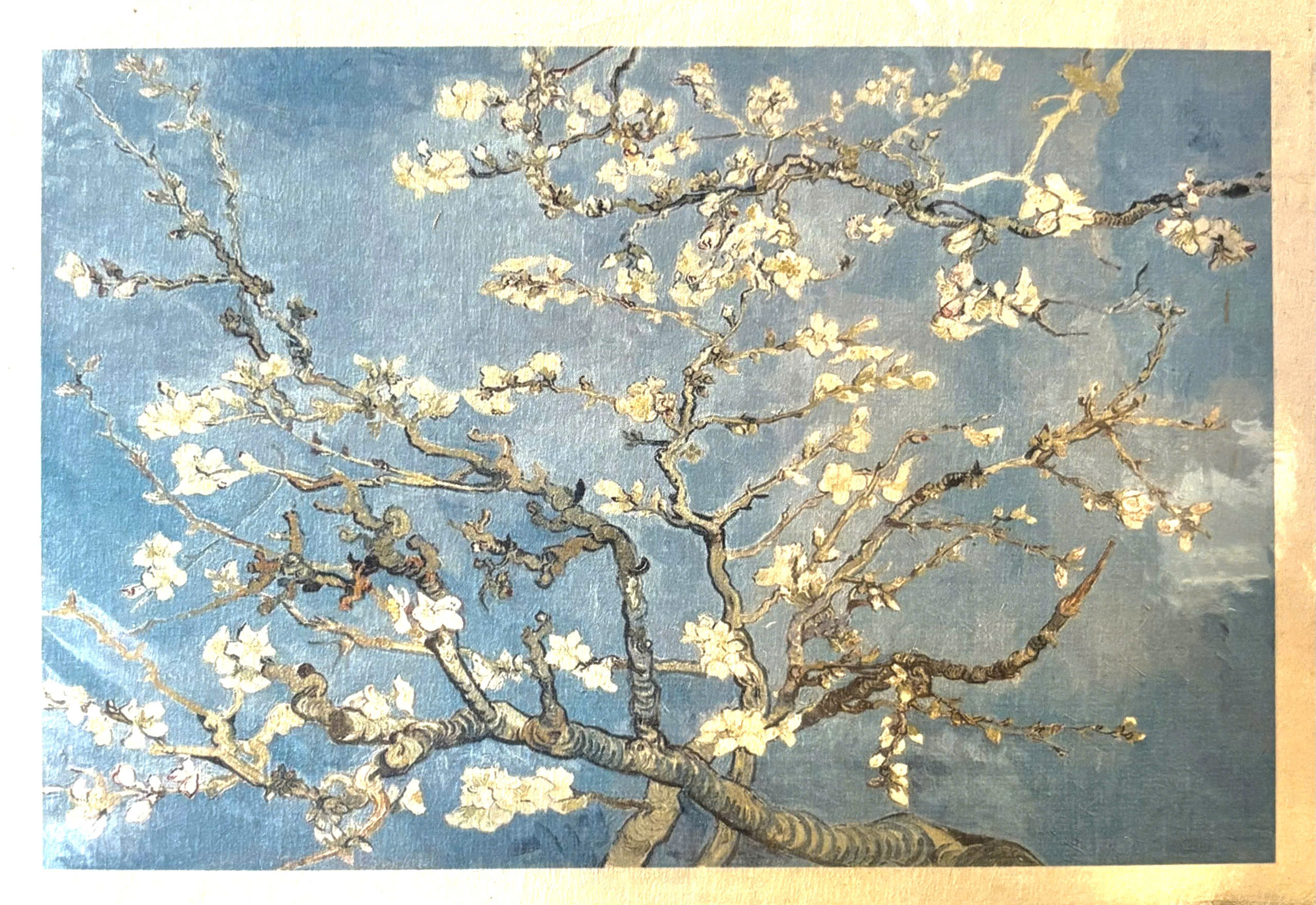 Poster on Dó lụa paper - Hoa Hạnh