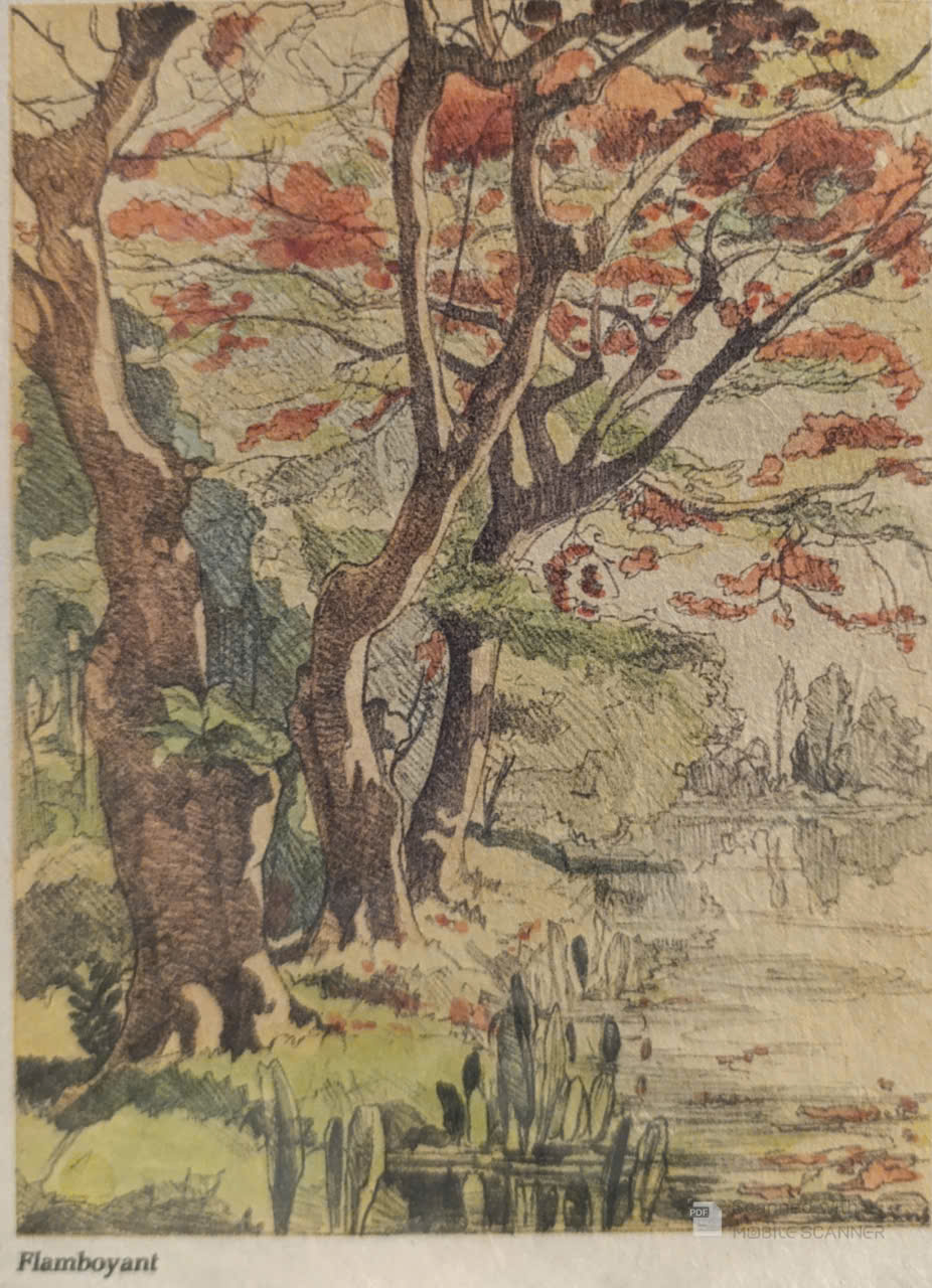 Poster on Dó lụa paper - Rực rỡ