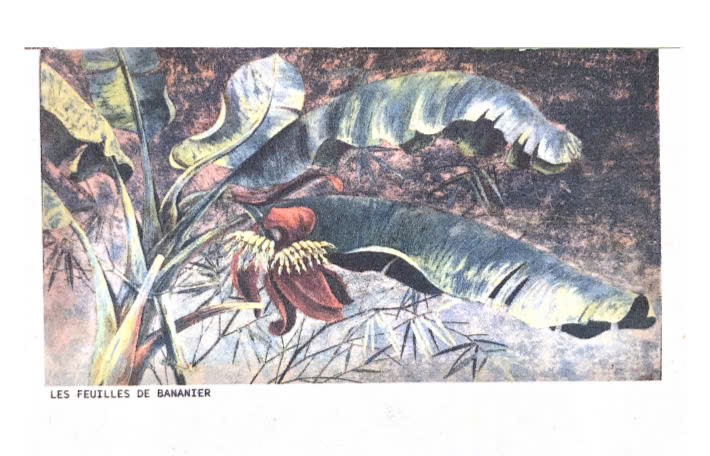 Postcard on Dó paper - Những tàu chuối